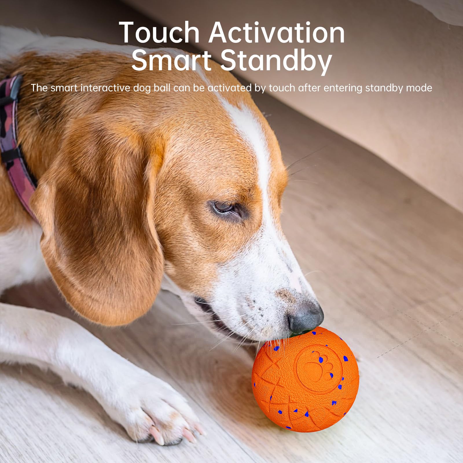 Hipibbo Interactive Dog Ball gift-ready for Christmas or birthday surprises.
