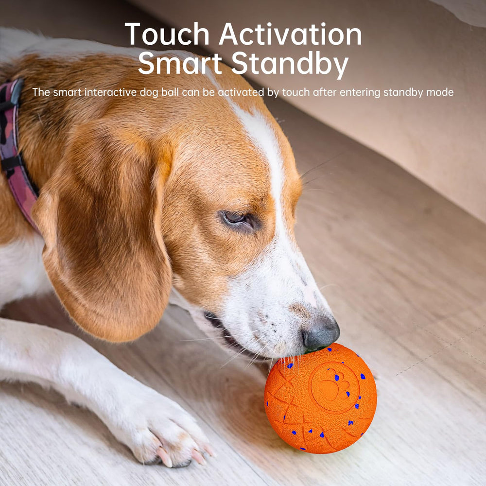 Hipibbo Interactive Dog Ball gift-ready for Christmas or birthday surprises.