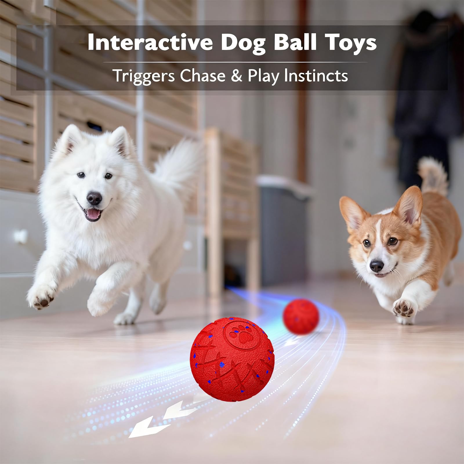hipibbo interactive dog toy ball USB-C charging for quick setup and longer play
