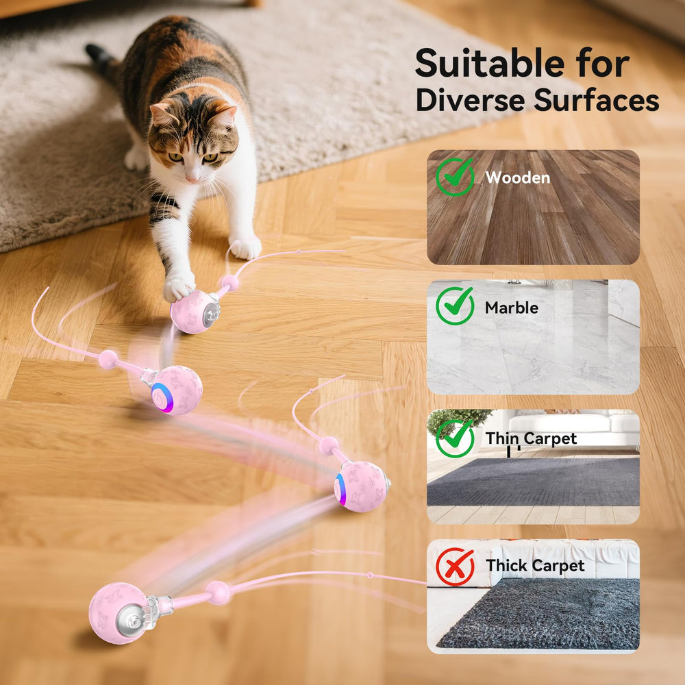 Hipibbo USB-rechargeable cat toy shown with charging features for long play