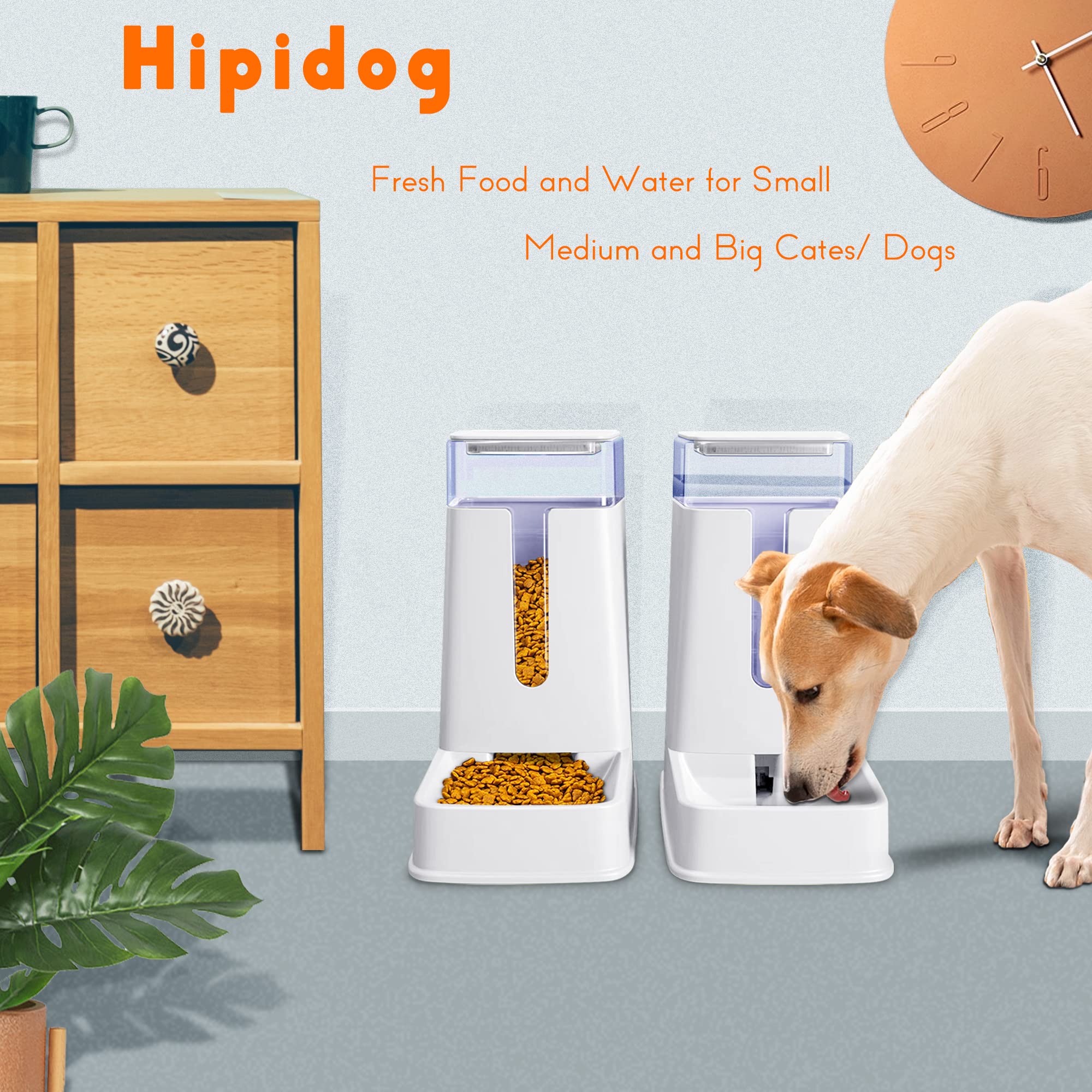 Hipidog gravity feeder for pets demonstrates hands-free feeding setup.