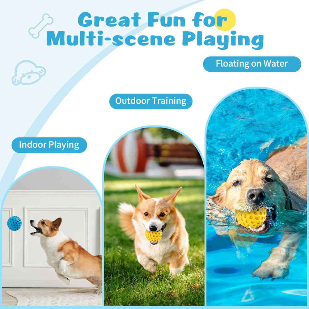 HIPPIH dishwasher-safe dog ball shows easy cleaning after muddy outdoor adventures.