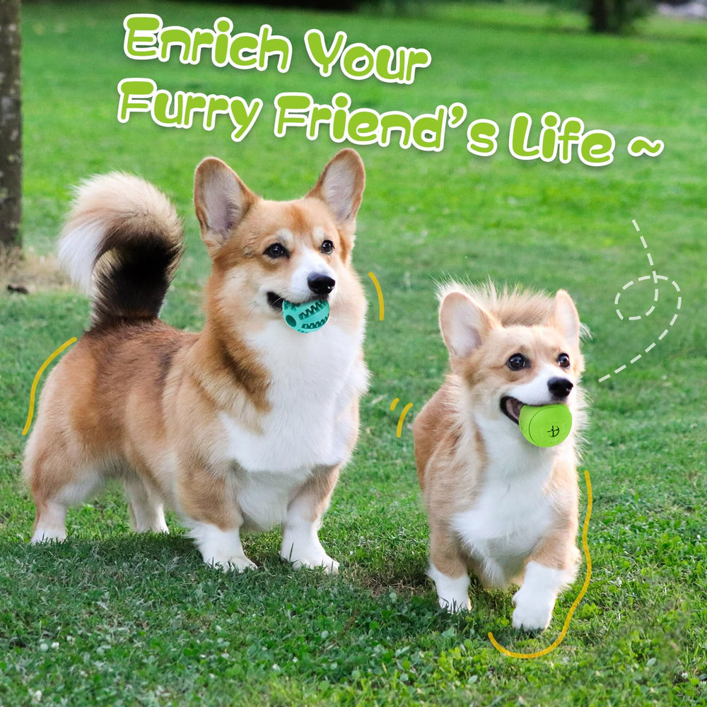 HIPPIH durable rubber dog toy designed for medium and large dogs.