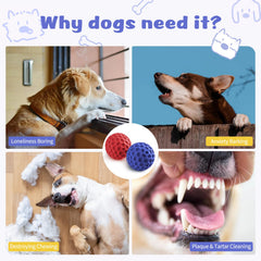 HIPPIH indestructible squeaky dog ball mint flavor to extend playtime for large dogs