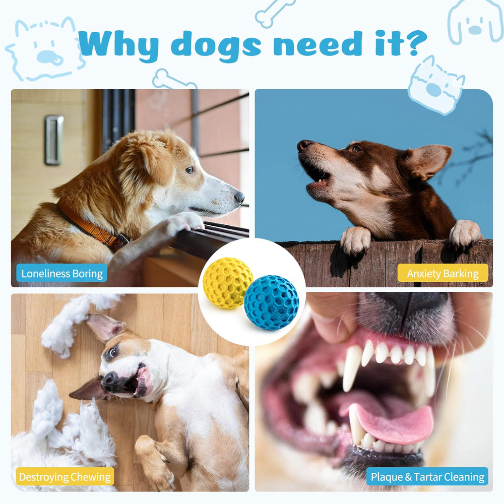 HIPPIH interactive fetch ball demonstrating vibrant bounce for outdoor parks and backyard play.