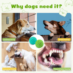 HIPPIH interactive ball mid-air bounce supports fetch games and canine agility.