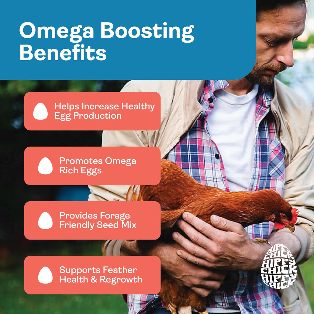 Hippy Chick Egg Booster hens feeding colorful mix for enrichment