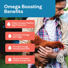 Hippy Chick Egg Booster hens feeding colorful mix for enrichment