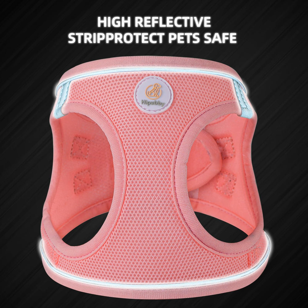 Hipubby easy-on buckle harness makes quick, stress-free fitting.