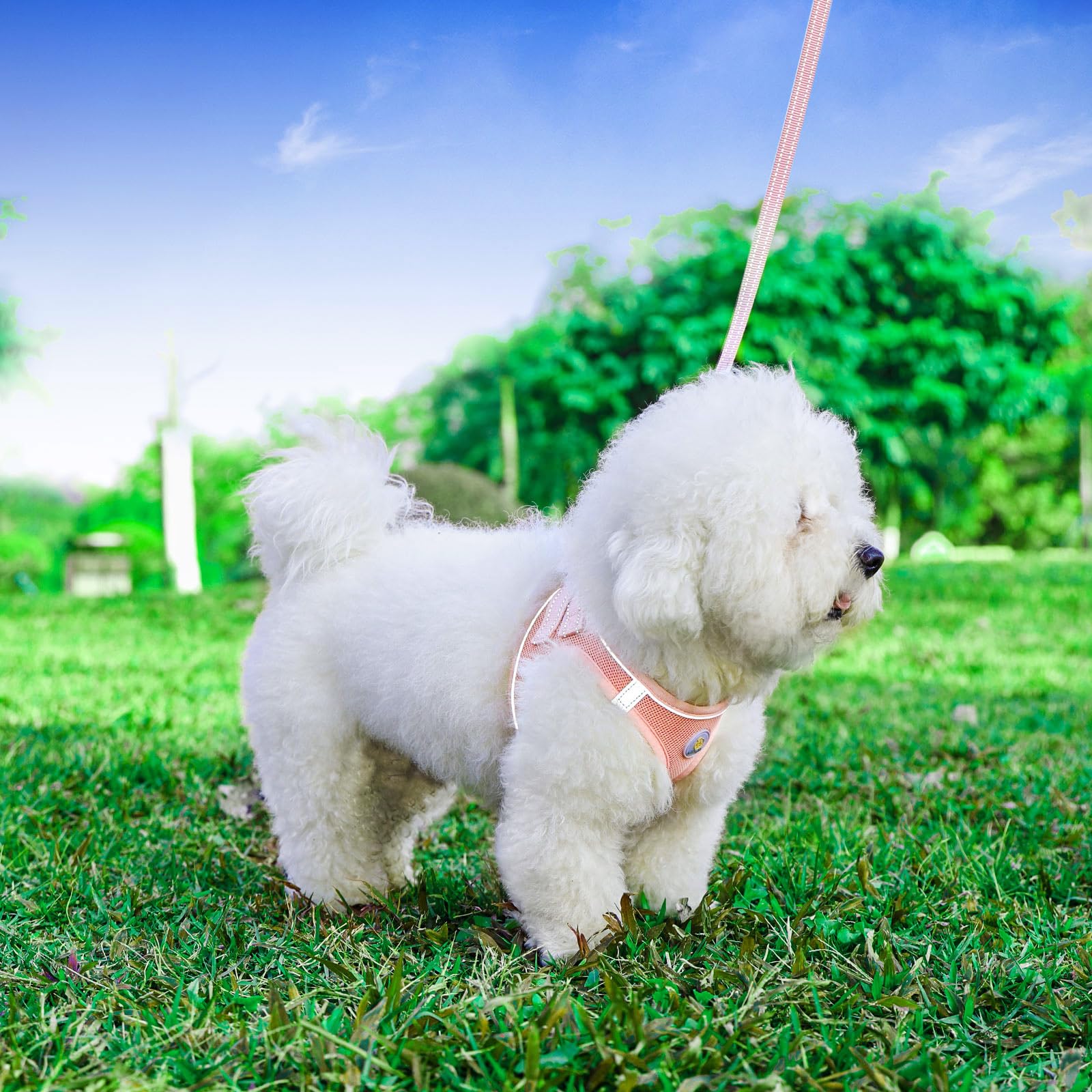 Hipubby pink harness with reflective strips boosts visibility during night walks.