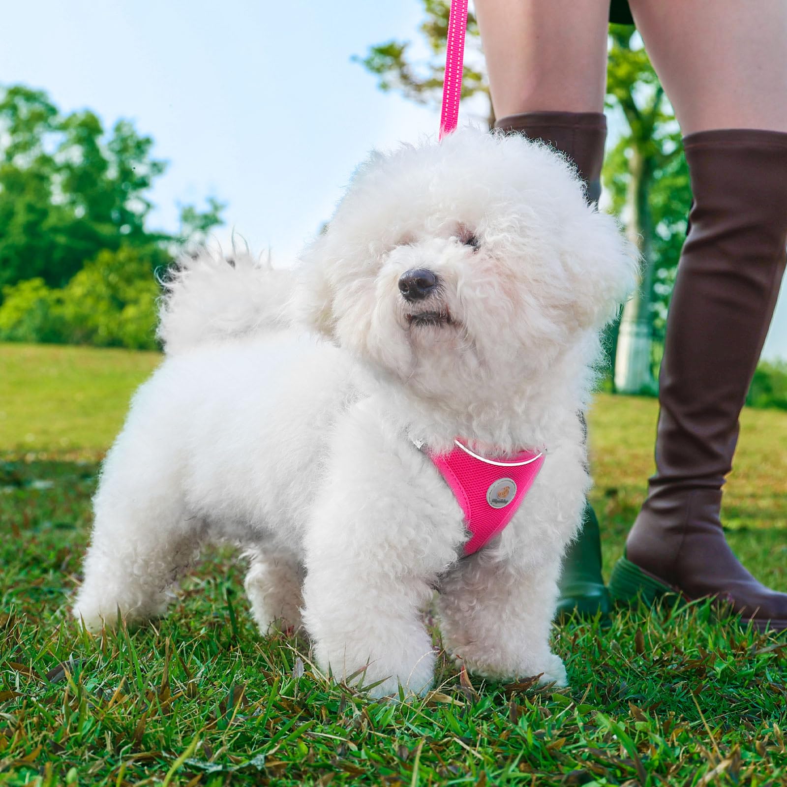 Hipubby dog harness step-in design simplifies wearing for pets