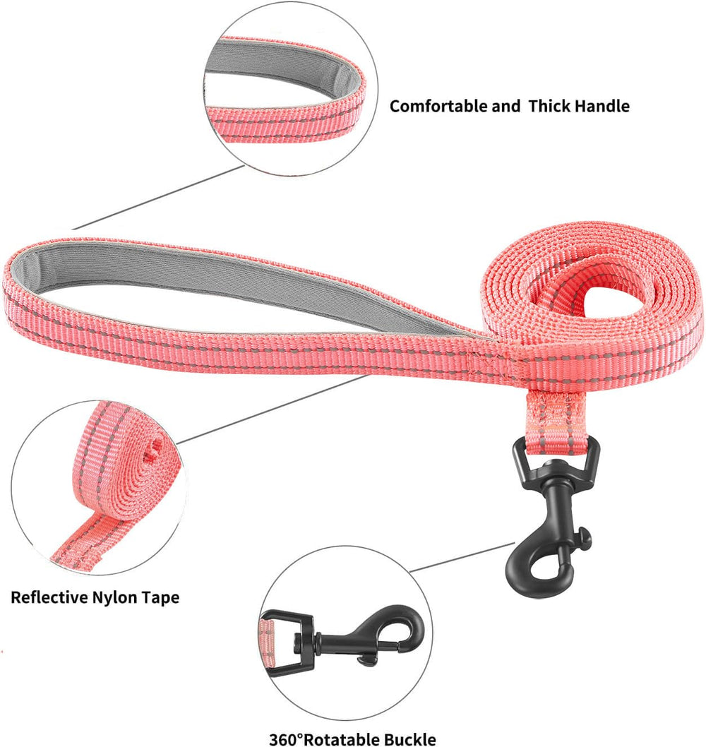 Hipubby 5 ft reflective leash pairs with harness for secure evening outings.