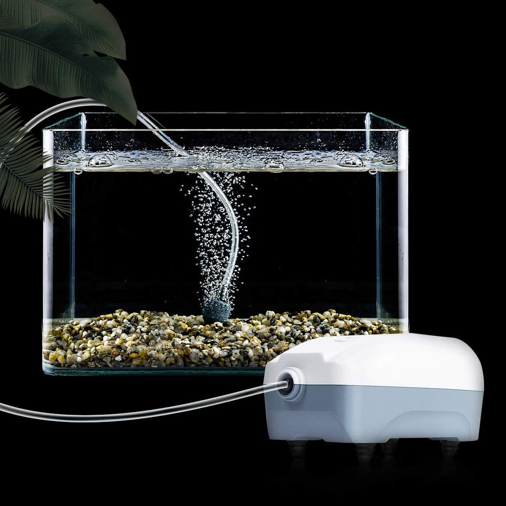 HITOP 2W compatible with freshwater, marine, and hydroponic setups.
