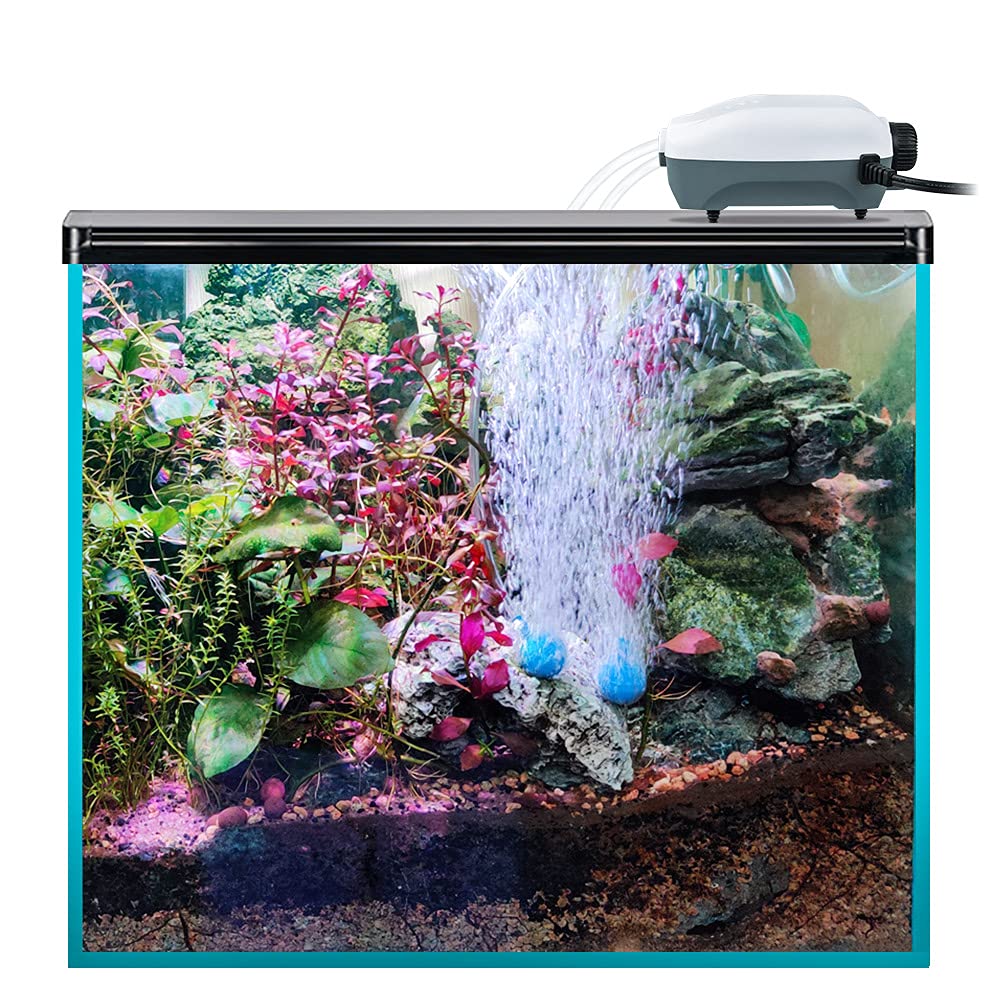 HITOP in-tank setup demonstrates 20–100 gallon compatibility and ready-to-run appeal