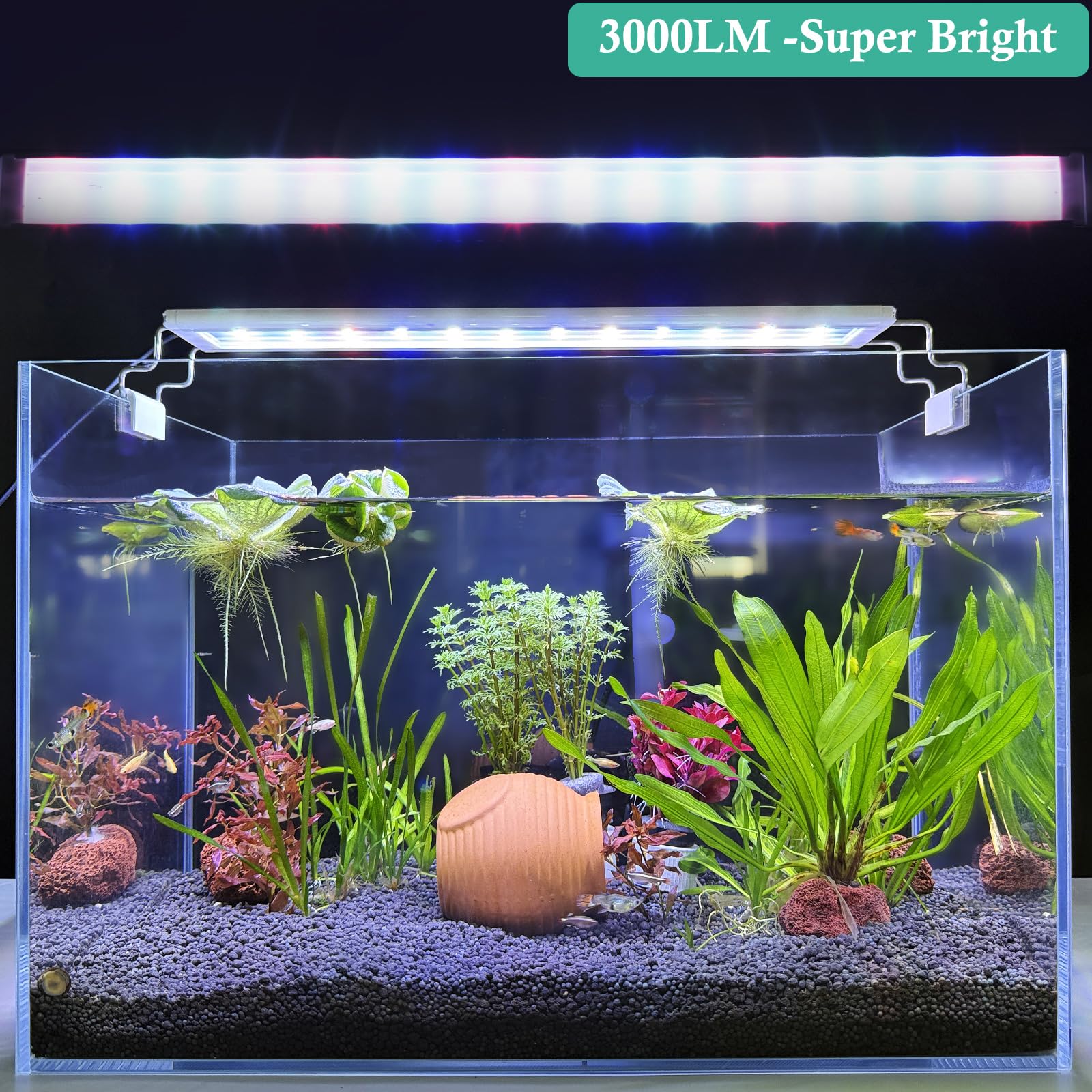 HITOP plant growth support full-spectrum helps leafy growth and bright visuals.