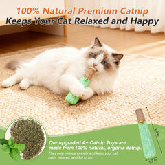 HivaolJoy organic-catnip-closeup highlighting 100% pure catnip aroma