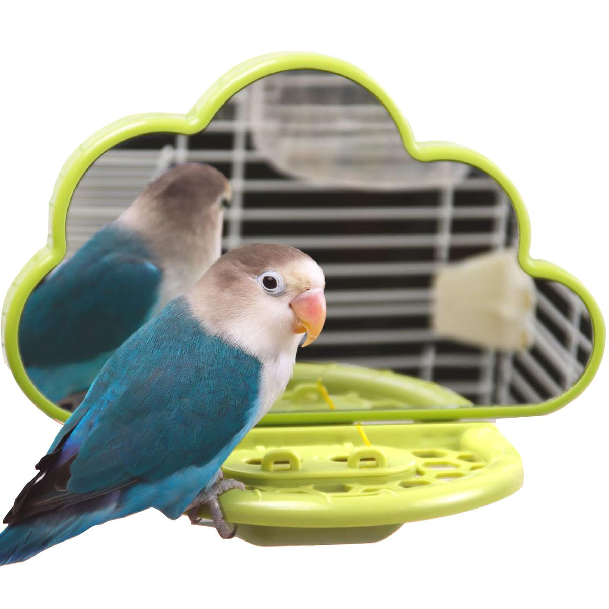 Hivovannn Bird Mirror cloud-perch engages birds with interactive play and snack time.