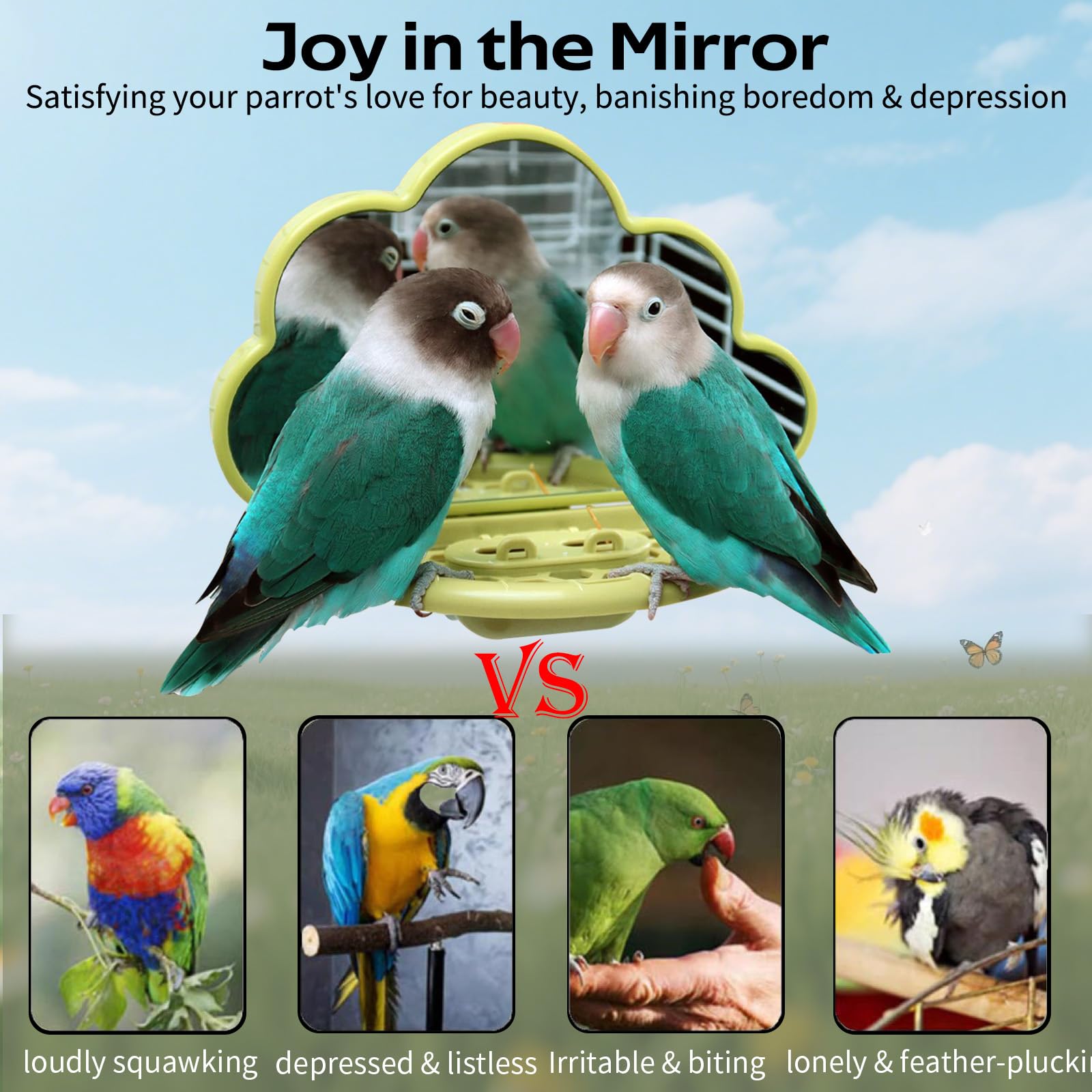 Hivovannn Bird Mirror slow-feeder highlights snack moments during play sessions for birds.