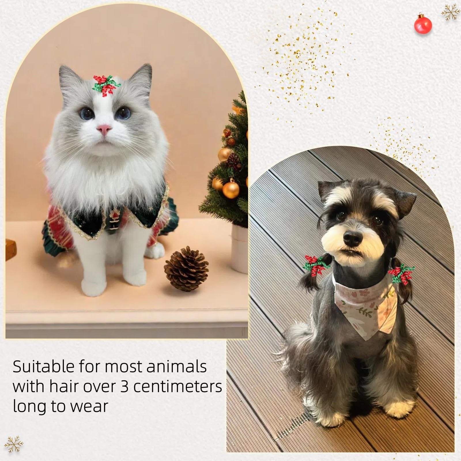 Hixixi bows enhance pet photos with festive shine