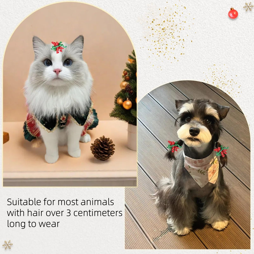 Hixixi bows enhance pet photos with festive shine