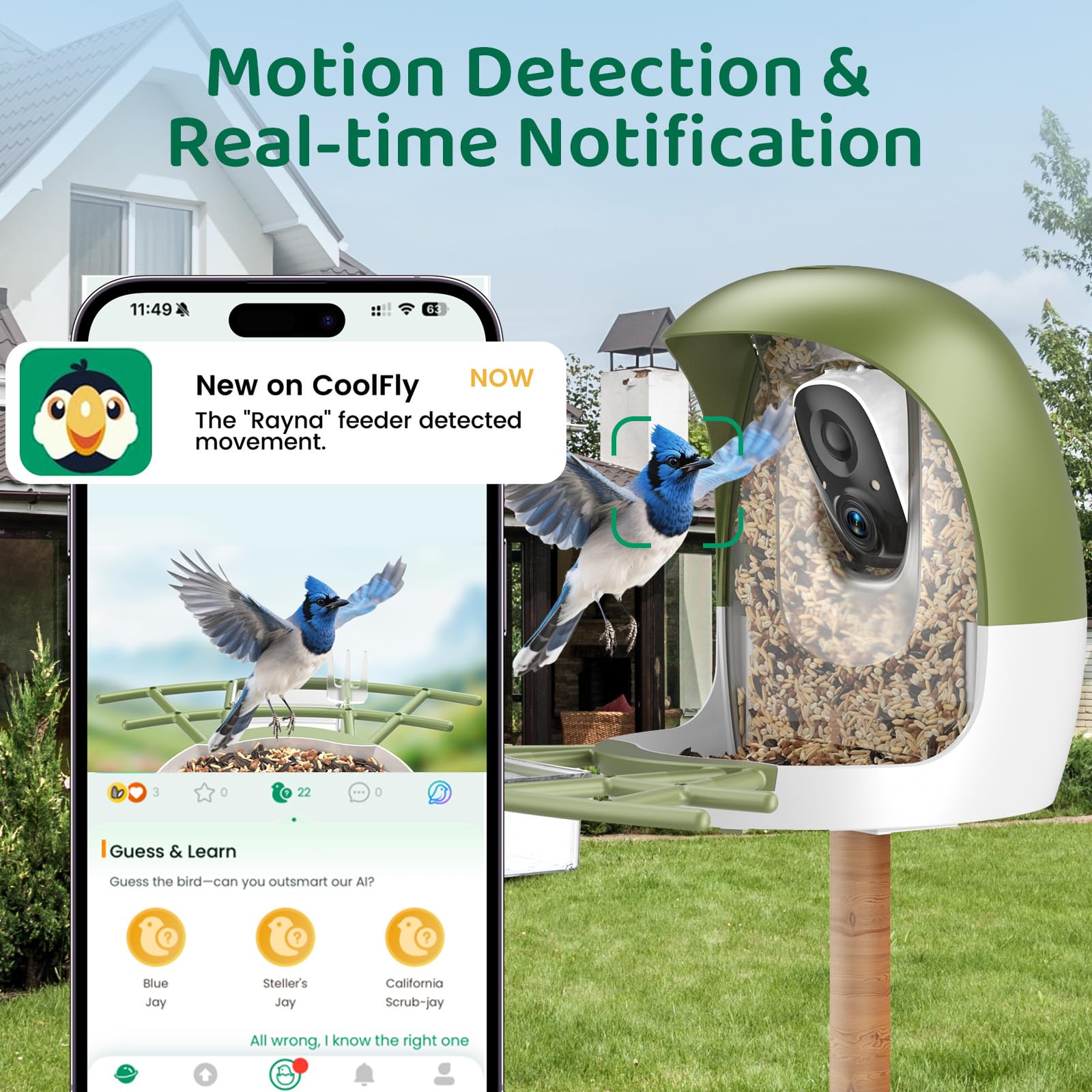 HIXX AI identification highlights species instantly for curious backyard watchers