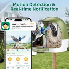 HIXX AI identification highlights species instantly for curious backyard watchers