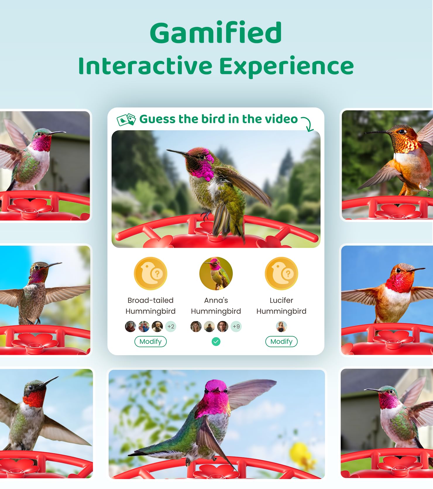 HIXX AI Bird Recognition interface for species ID and sharing