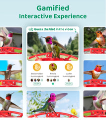 HIXX AI Bird Recognition interface for species ID and sharing