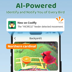 HIXX AI recognition interface identifies bird species in real time.
