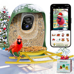 HIXX bird feeder camera streams live 2K video for real-time birdwatching.