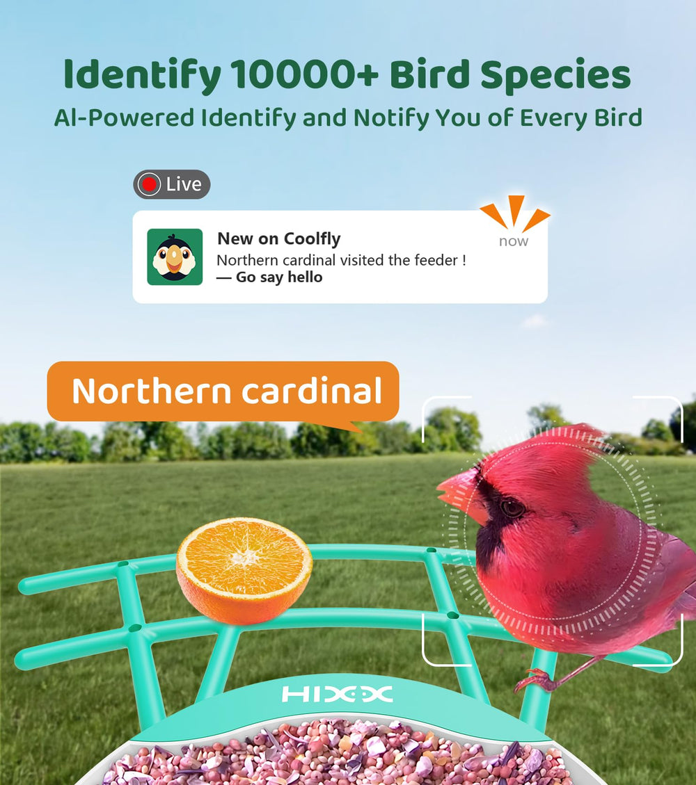 HIXX bird feeder camera live view displayed on a smartphone