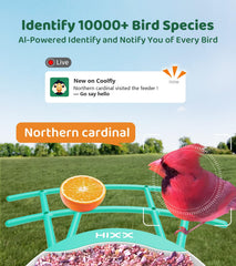 HIXX bird feeder camera live view displayed on a smartphone