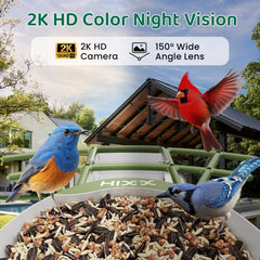 HIXX Chirpchat AI recognition tagging birds for easy tracking
