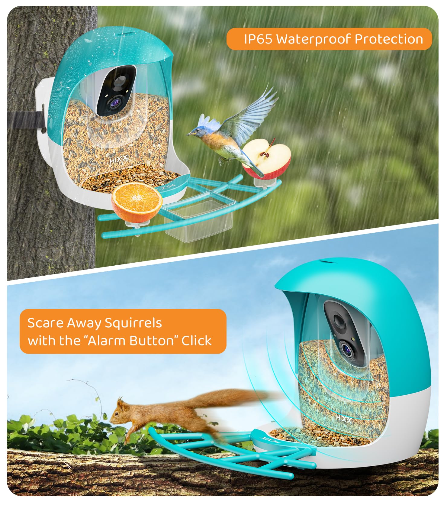HIXX CoolFly app interface for interactive birding community
