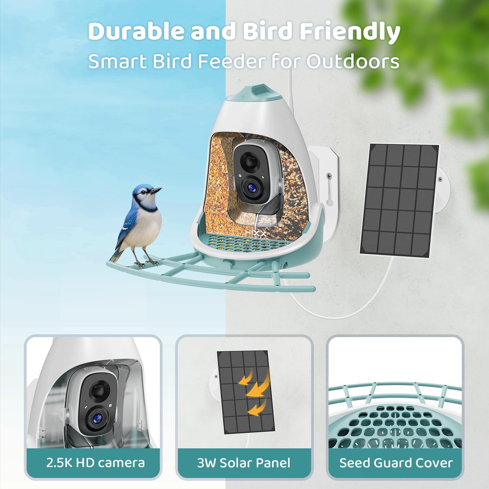 HIXX dual seed chambers blue interior highlights multiple seed types attracting diverse birds.