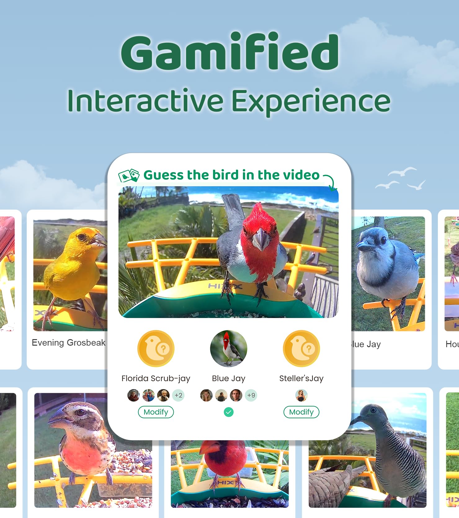 HIXX live streams support multiple viewers sharing wildlife moments simultaneously.