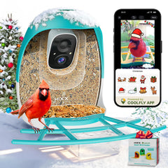 HIXX Smart Bird Feeder camera front view for real-time birdwatching