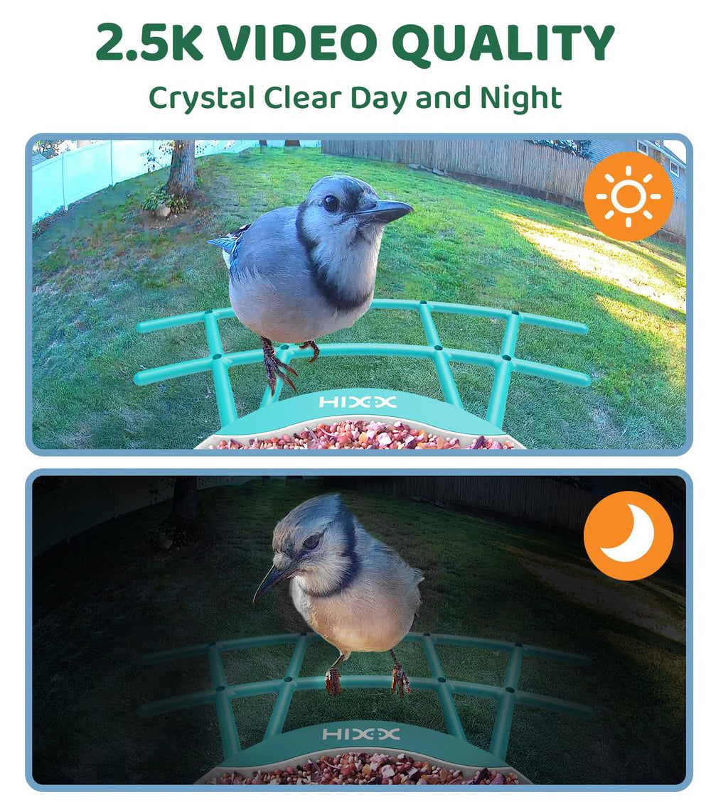 HIXX color night vision reveals nocturnal visitors with clarity