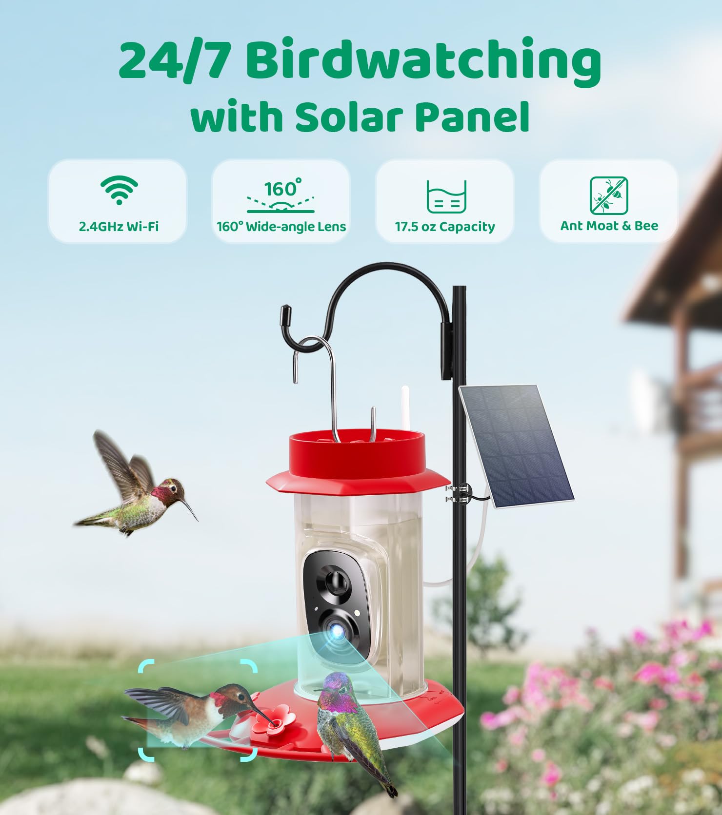 HIXX Solar powered feeder enables 24/7 viewing with built-in night vision