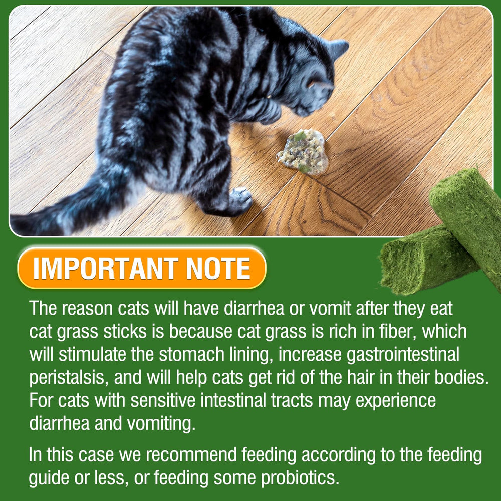 Hkpetie cat grass sticks hairball illustration—may aid in hairball management.