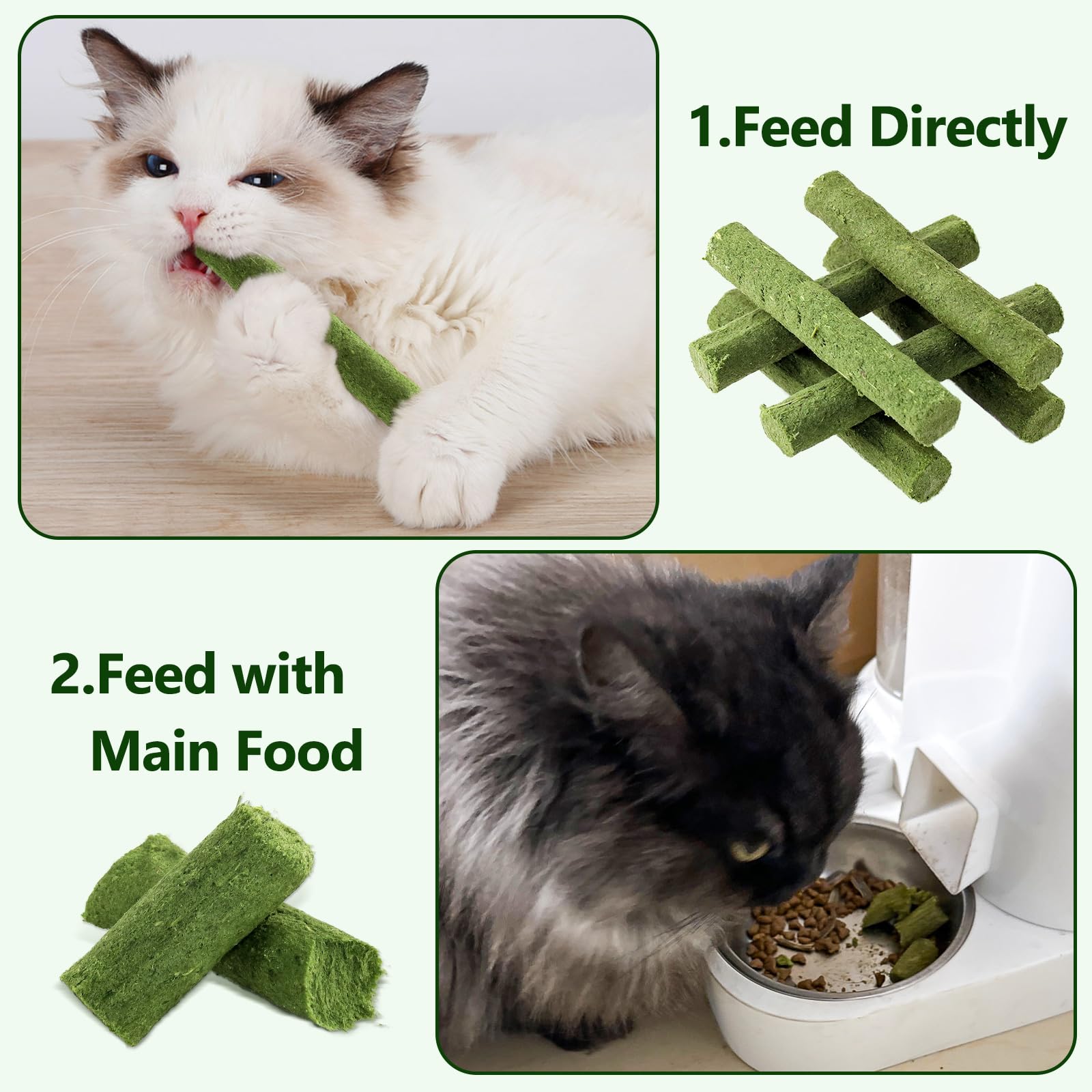 Hkpetie cat grass sticks reward treat—train or entice picky eaters.