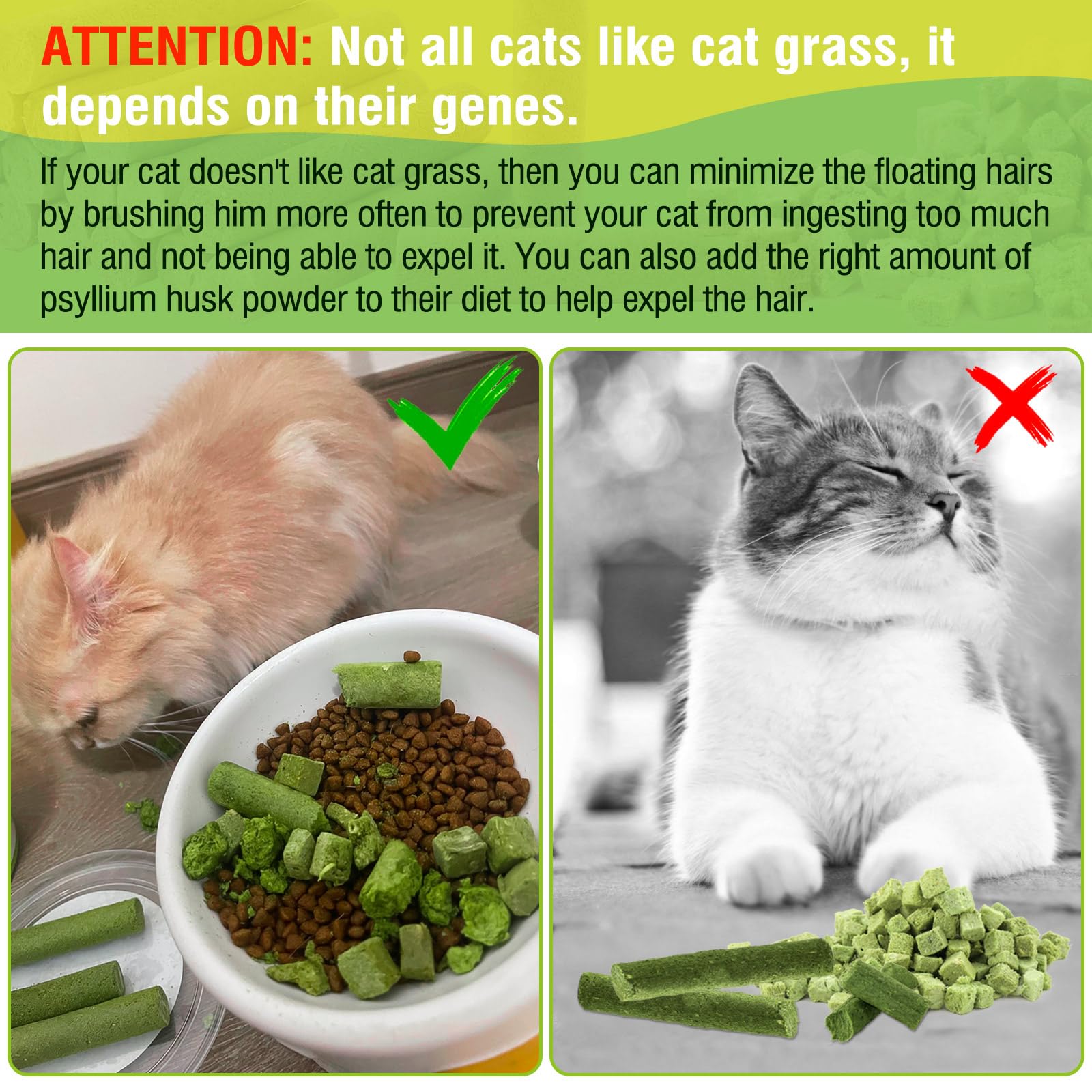 Hkpetie cat grass sticks serving bowl—easy reward during training.