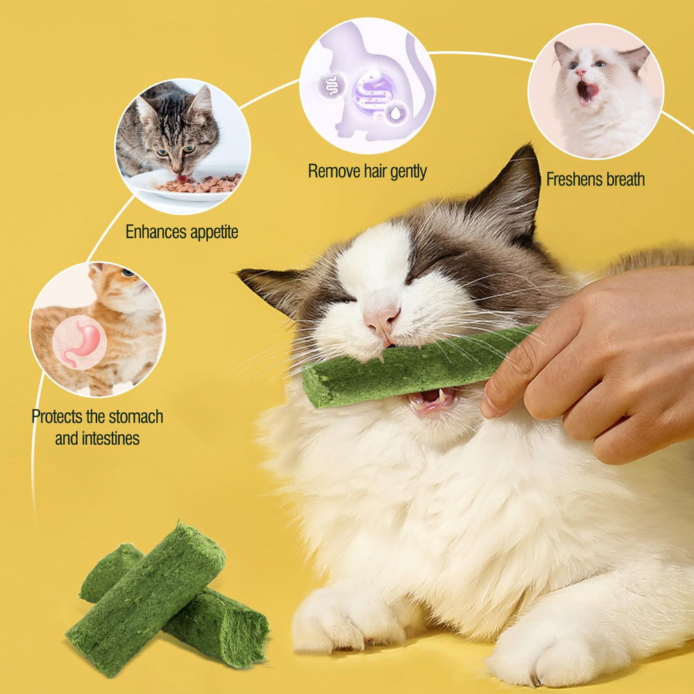 Hkpetie cat grass sticks textured snack—crunchy bite supports dental health.