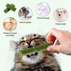 Hkpetie teething stick in use as a cat chew for dental-friendly play.