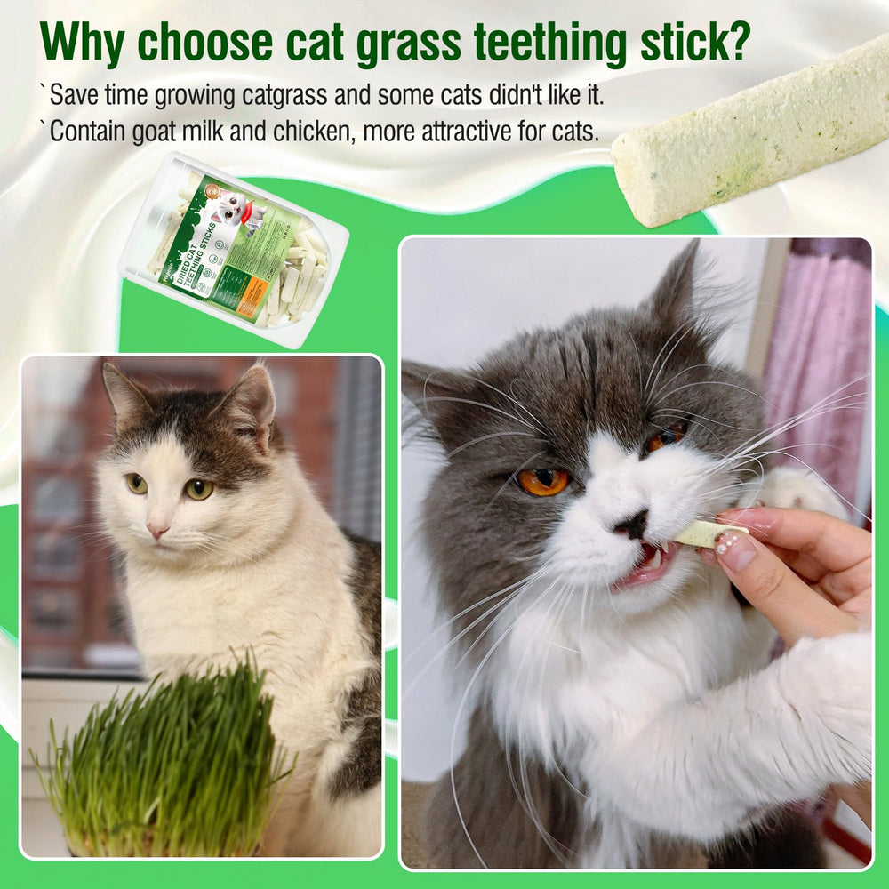 Hkpetie freeze-dried cat grass close-up texture highlighting natural ingredients for hairball support.