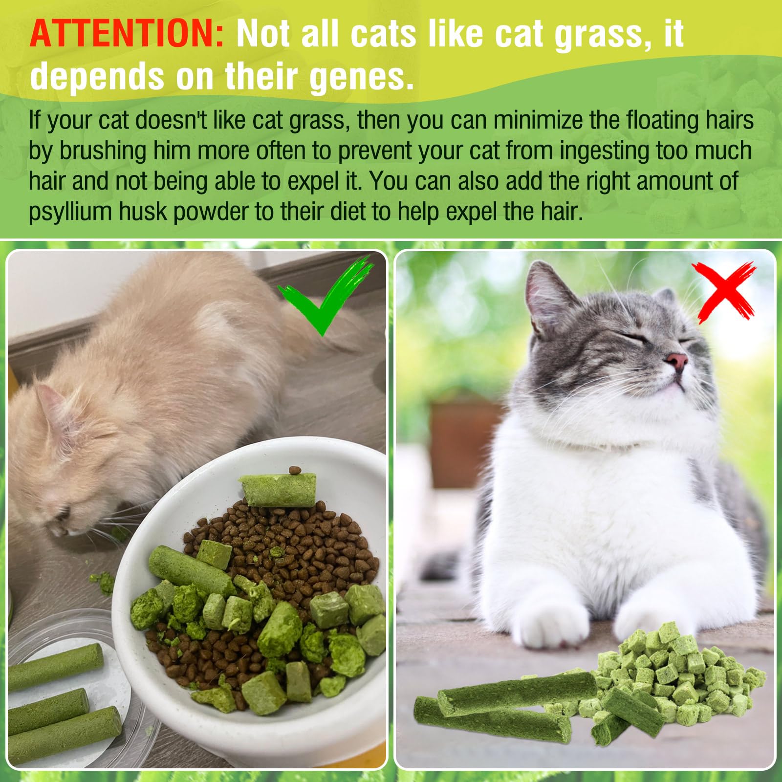 Hkpetie natural ingredients highlighted in cat grass treat.