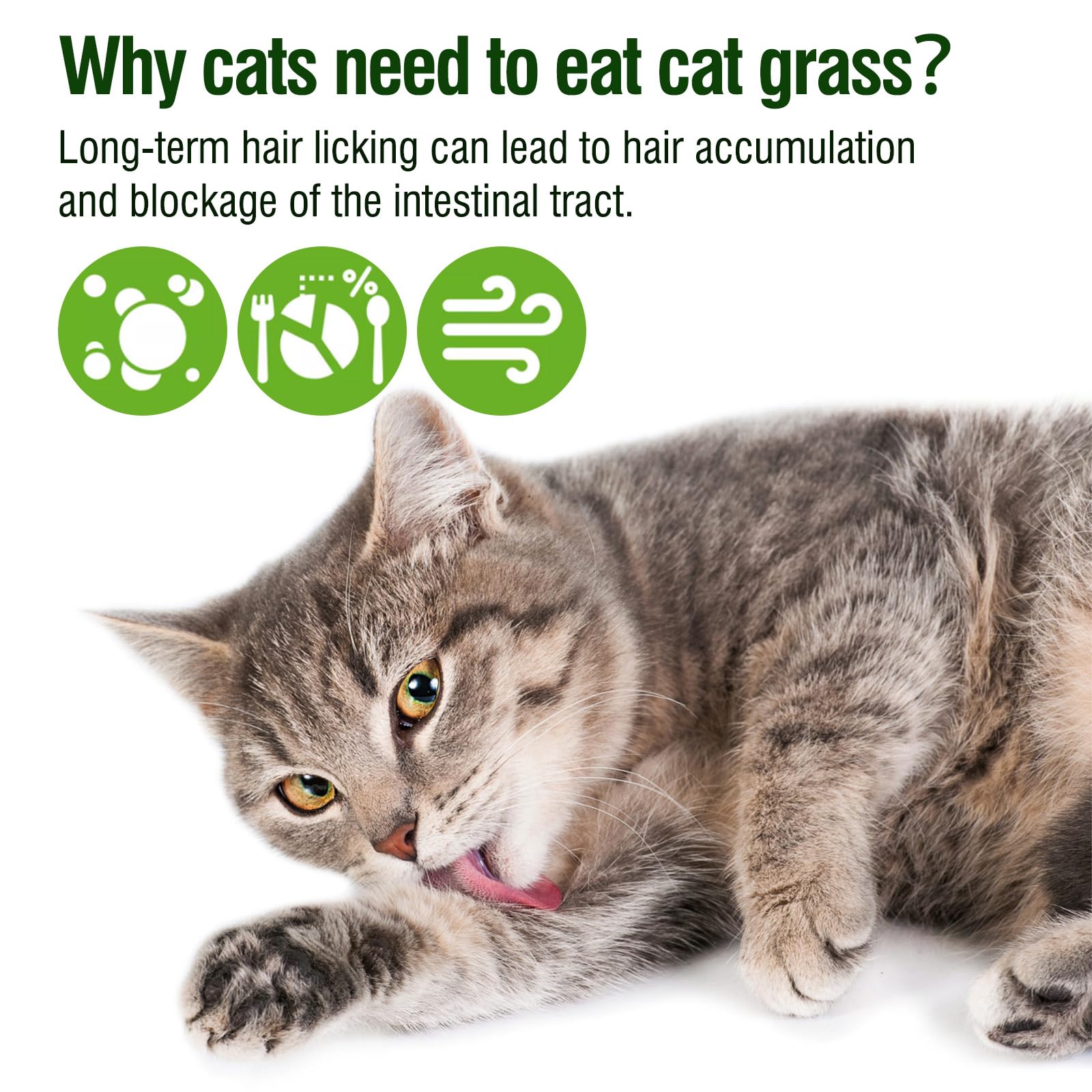Hkpetie cat grass stick supports oral hygiene and fresh breath.