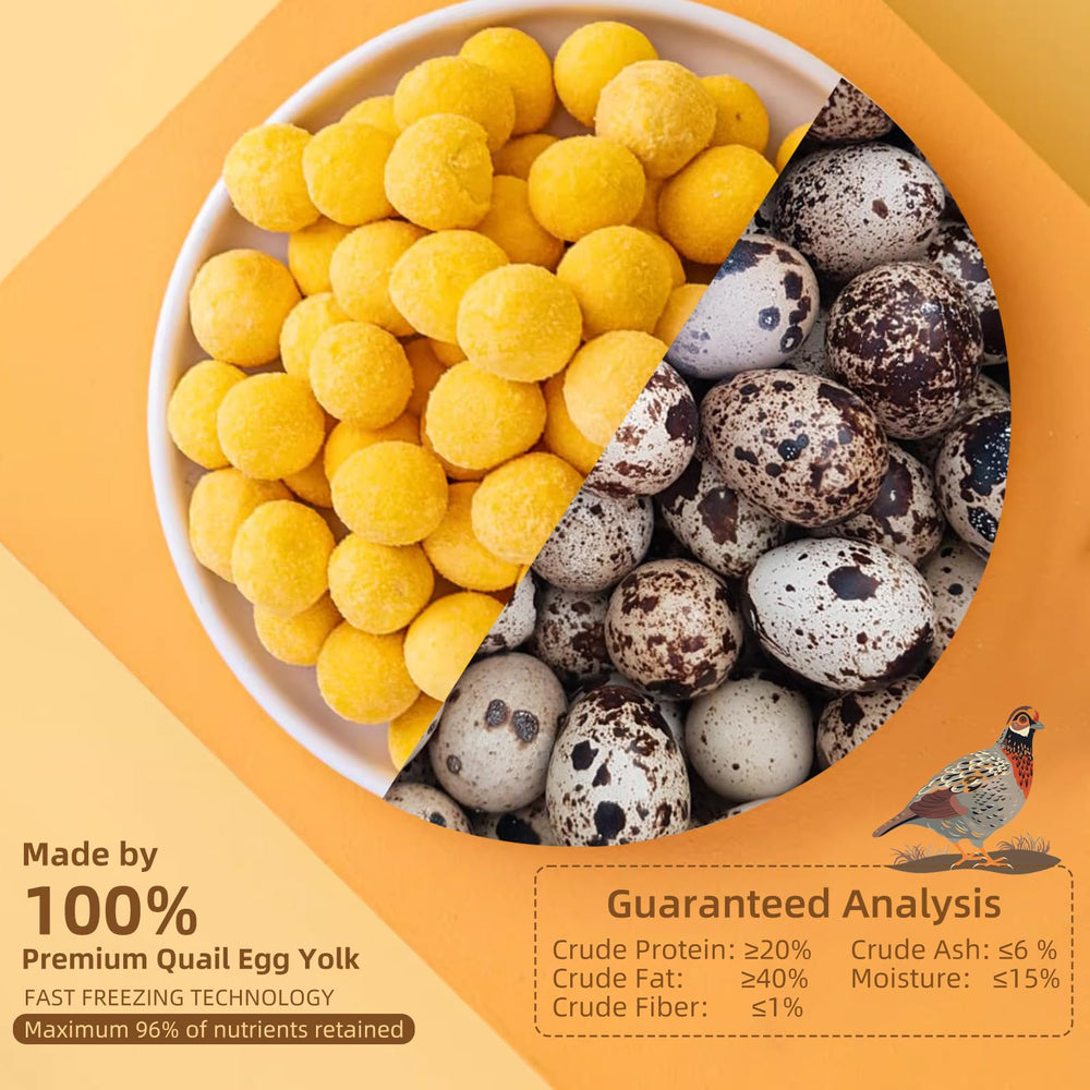 Hkpetty quail egg yolk nutrition focuses on lecithin and protein