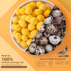 Hkpetty quail egg yolk nutrition focuses on lecithin and protein