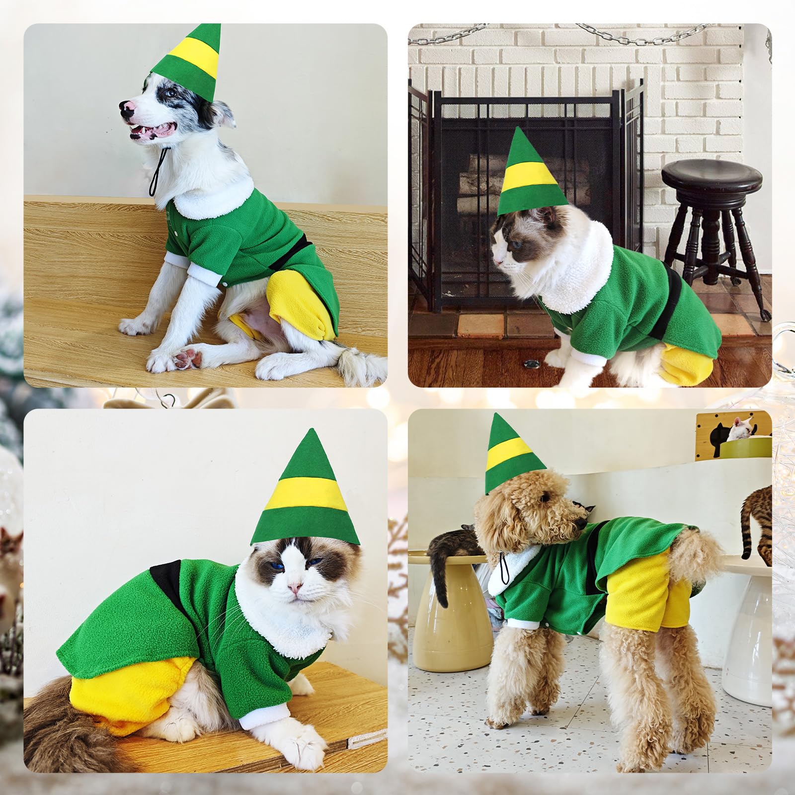Hladce dog elf costume in action during a holiday event